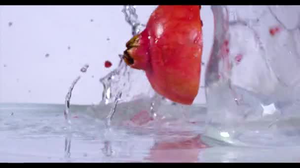 Färsk granatäpple falla i vatten, Slowmotion. — Stockvideo