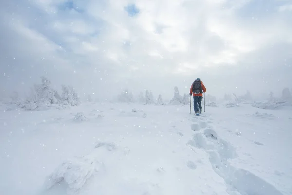 Paysage ensoleillé d'hiver avec homme en raquettes . — Photo