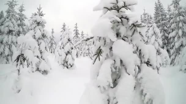 Пішохідна прогулянка по снігоступах в зимових горах . — стокове відео