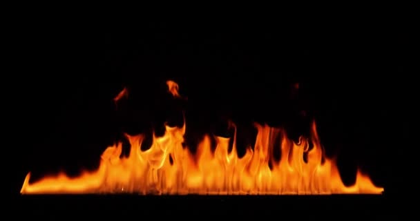 Close-up of burning fire, flames burning on black background, slow motion — Stock Video