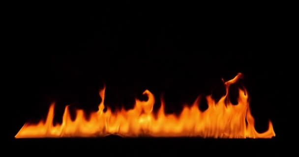 Close-up of burning fire, flames burning on black background, slow motion — Stock Video