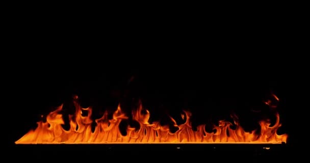 Close-up of burning fire, flames burning on black background, slow motion — Stock Video