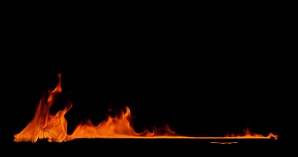 Close-up of burning fire, flames burning on black background, slow motion — Stock Video