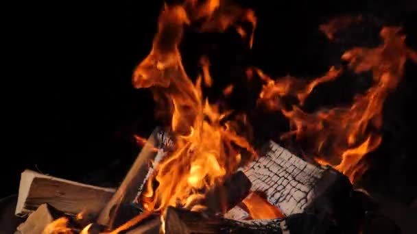 Close-up de fogo ardente, chamas queimando em fundo preto, câmera lenta — Vídeo de Stock