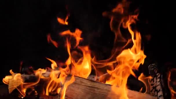 Gros plan du feu brûlant, flammes brûlant sur fond noir, ralenti — Video