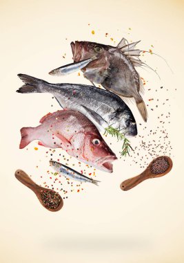 Pişirmek için malzemelerle birlikte çiğ deniz balığı uçurmak. Gıda hazırlama konsepti.