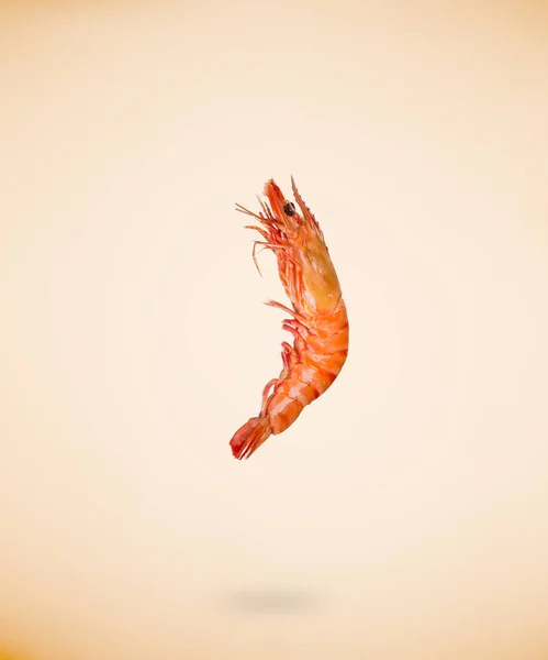 Back view of prawn isolated on beige background. — Stock Photo, Image