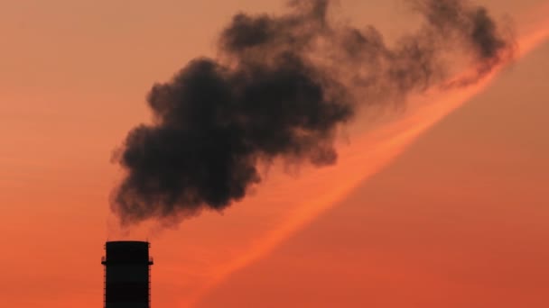 Industria pesada, fábrica petroquímica al atardecer . — Vídeos de Stock