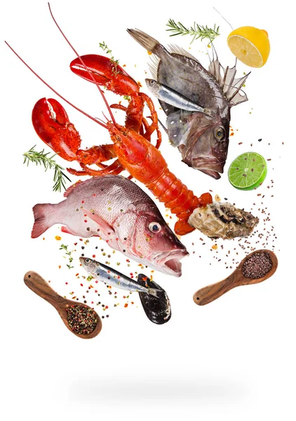 Pescado marino crudo volador con ingredientes para cocinar. Concepto de preparación de alimentos — Foto de Stock