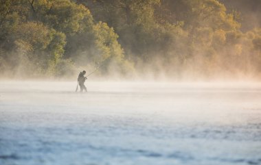 Yaz sabahı boyunca nehir sinek çubuk ile balığa dostum.