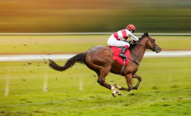 Yarış atı ve jokey evdeler.