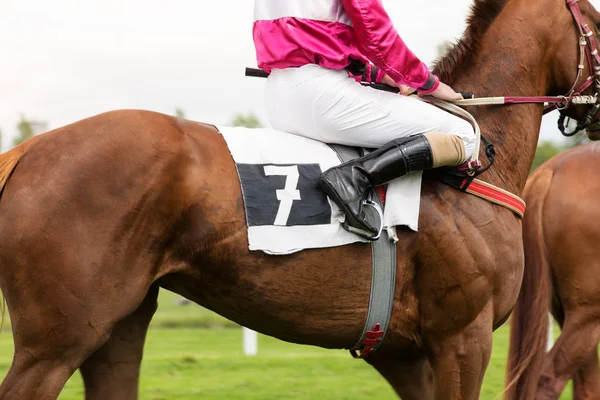 Cavallo da corsa con fantino, primo piano . — Foto Stock