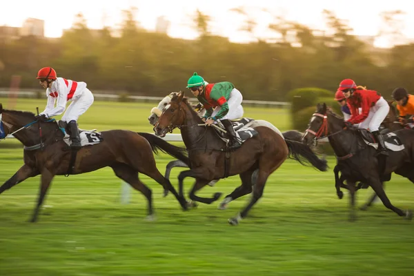 Corrida de cavalos com jóqueis em casa em linha reta — Fotografia de Stock