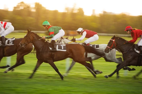 Corrida de cavalos com jóqueis em casa em linha reta — Fotografia de Stock