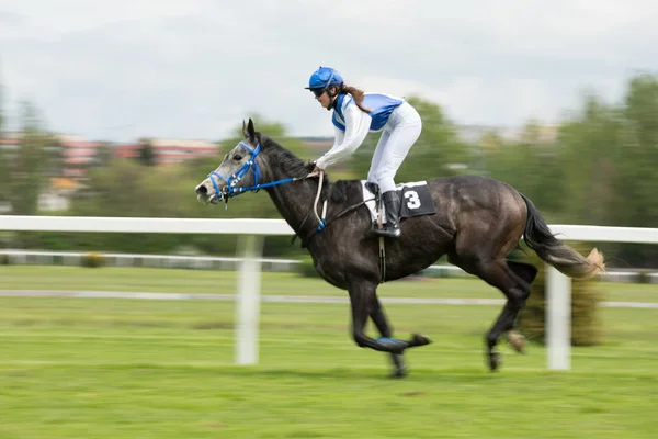 Cheval de course avec jockey à la maison droite — Photo