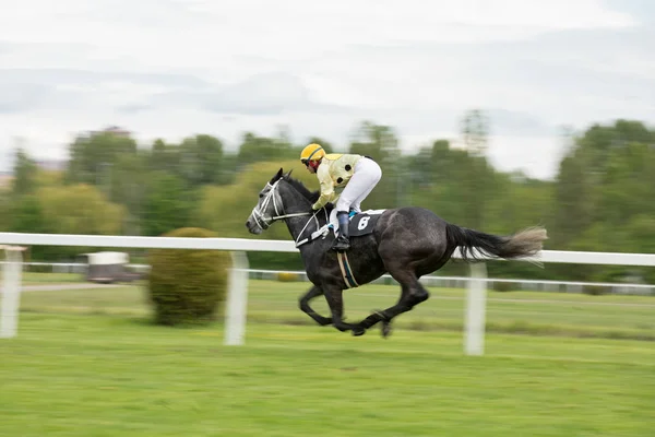 Wyścig konny z dżokejem w domu prosto — Zdjęcie stockowe
