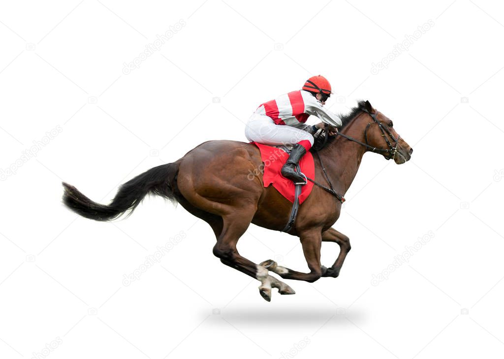 Race horse with jockey on the home straight