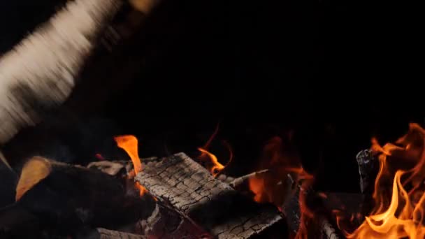 Närbild på brinnande eld, lågor brinnande på svart bakgrund, Slowmotion — Stockvideo