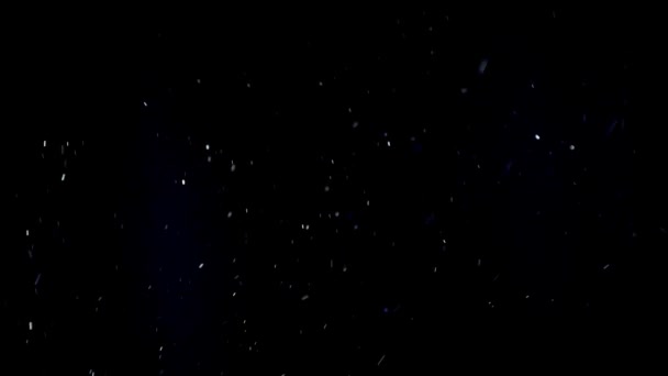 Particules de poussière organique flottantes sur fond noir .