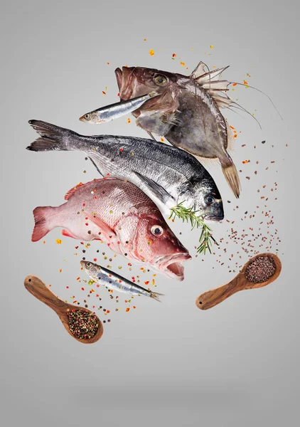 Pescado marino crudo volador con ingredientes para cocinar. Concepto de preparación de alimentos — Foto de Stock