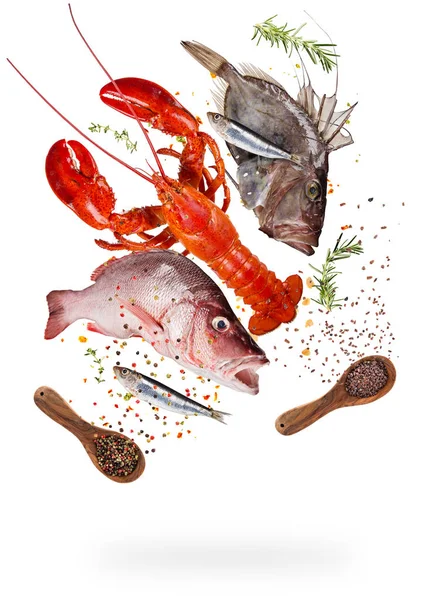 Voando peixes do mar crus com ingredientes para cozinhar. Conceito de preparação alimentar — Fotografia de Stock