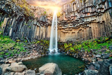 Svartifoss şelalesi. Skaftafell Ulusal Parkı, Vatnajokull Buzulu, İzlanda, Avrupa.