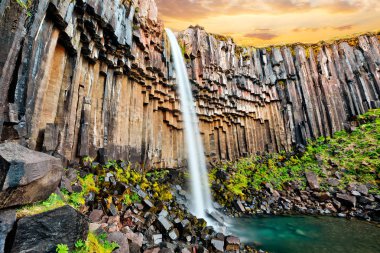 Svartifoss şelalesi. Skaftafell Ulusal Parkı, Vatnajokull Buzulu, İzlanda, Avrupa.