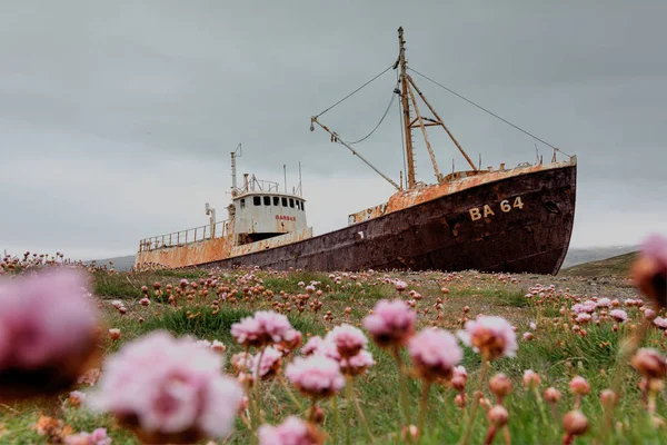 Verlaten vissersboot aan de oever van de fjord in westelijk IJsland — Stockfoto