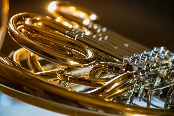 french horn during a classical concert music