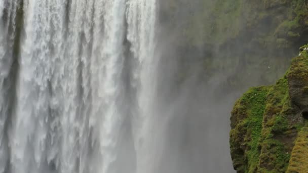 Primer plano de la cascada de Skogafoss en Islandia — Vídeos de Stock