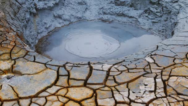 Sulfur hot springs, north Iceland, Europe. — Stock Video