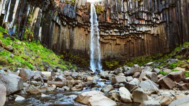 Svartifoss şelalesi. Skaftafell Ulusal Parkı, Vatnajokull Buzulu, İzlanda, Avrupa. — Stok video