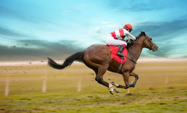 Corrida de cavalo com jóquei em casa em linha reta — Fotografia de Stock