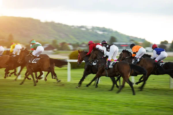 Chevaux de course avec jockeys sur la droite à la maison — Photo