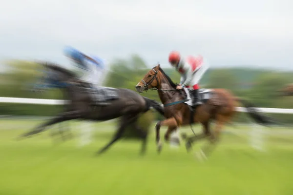 Caballos de carreras con jinetes en el hogar recto —  Fotos de Stock