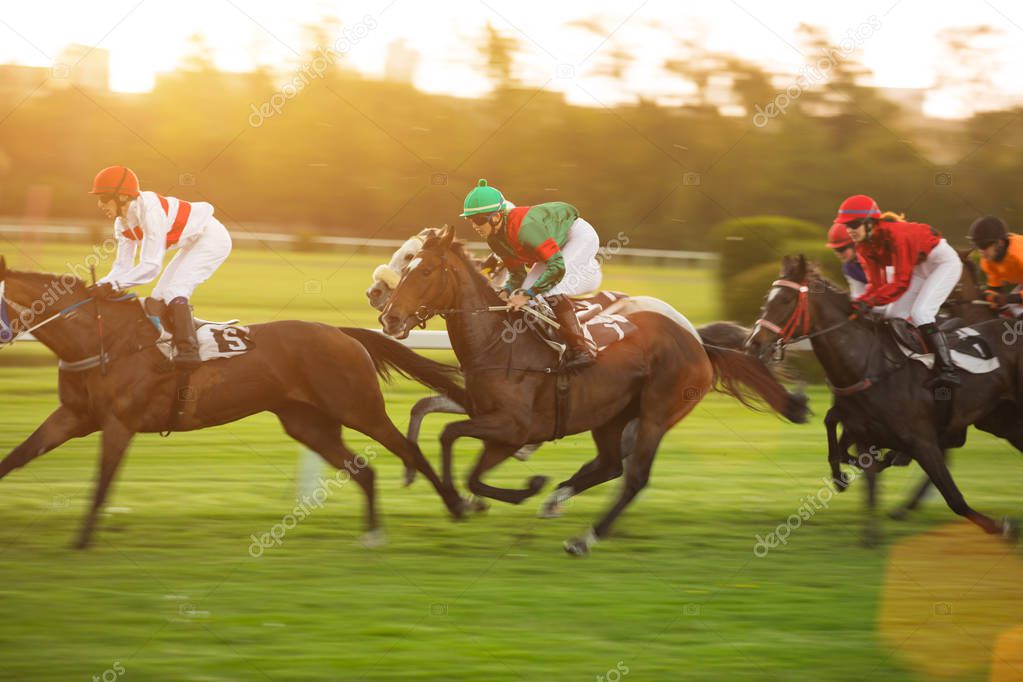 Race horses with jockeys on the home straight
