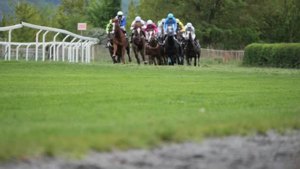 Race paarden met jockeys op het huis rechte — Stockvideo