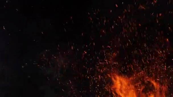 Close-up of burning fire, fire burning on black background — Stok Video