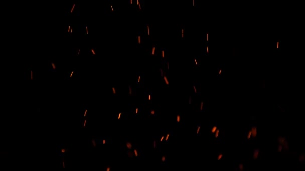 Närbild av brinnande eld, flammor brinner på svart bakgrund — Stockvideo