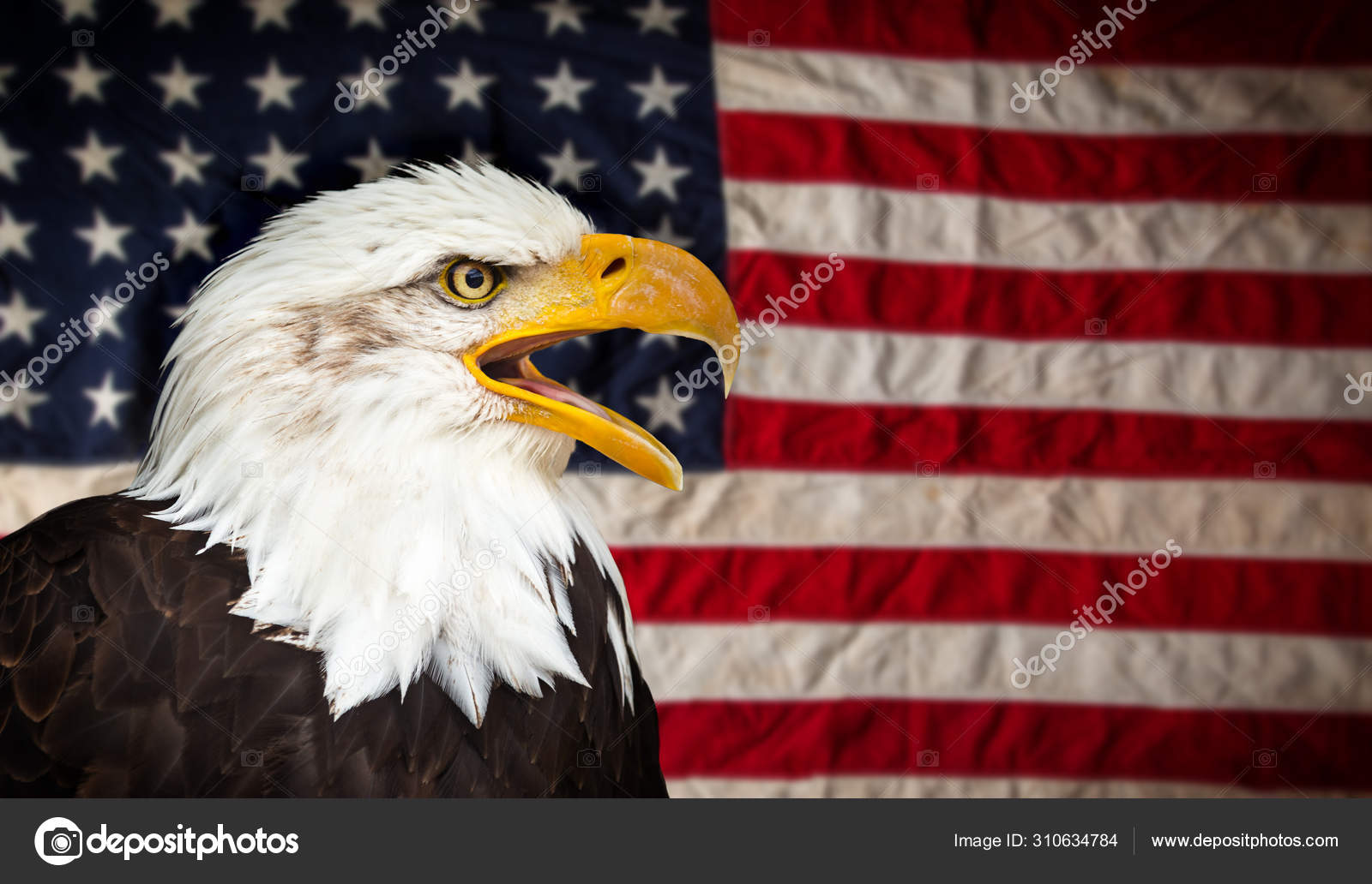 Символы сша. Флаг орла. Символ сша животное самый распространенный. Белоголовый орлан на гербе сша. Символ сша животное самый распространенный.