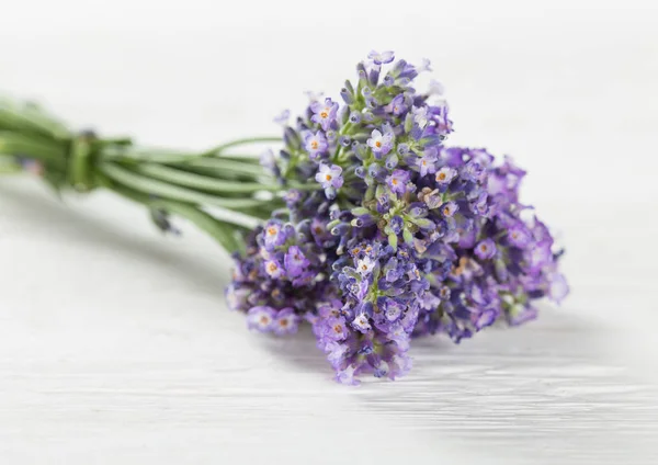 Wellness treatments with lavender flowers. — Stock Photo, Image