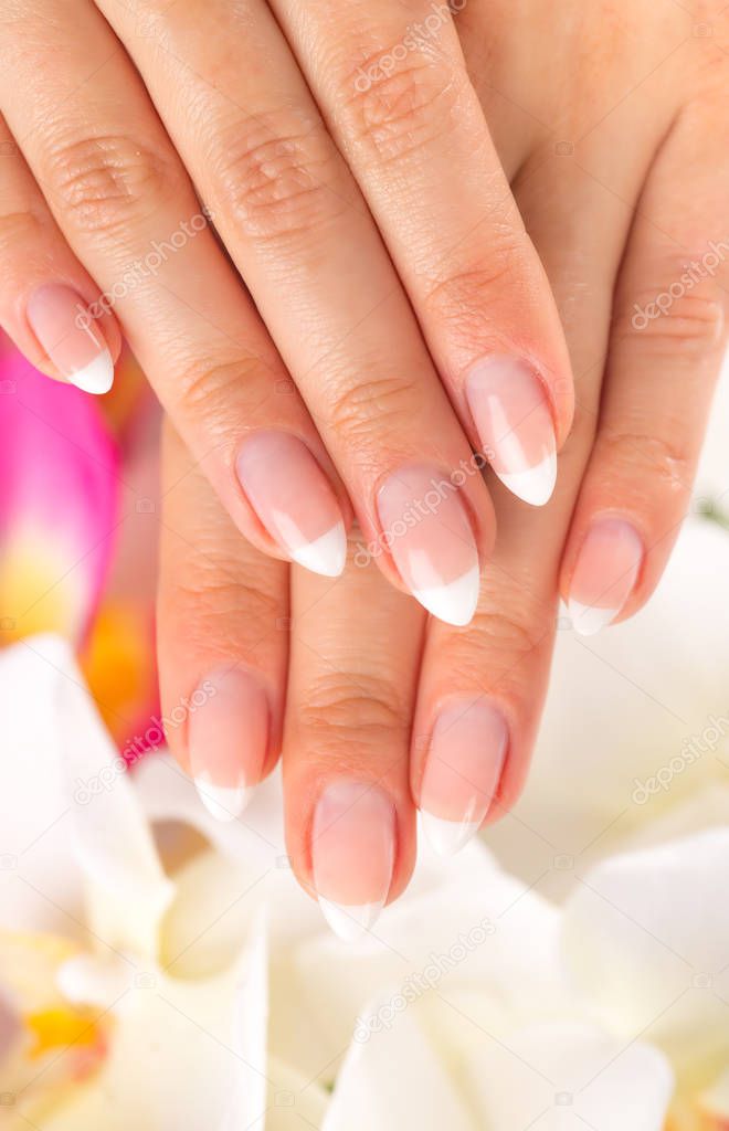 Beautiful womans nails, french manicure.