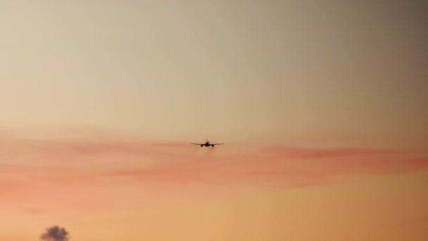 Vliegtuig landing tijdens zonsondergang. — Stockvideo