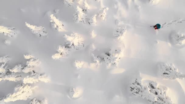 Luchtfoto van de man wandelen met sneeuwschoenen op witte sneeuw in de winter. — Stockvideo