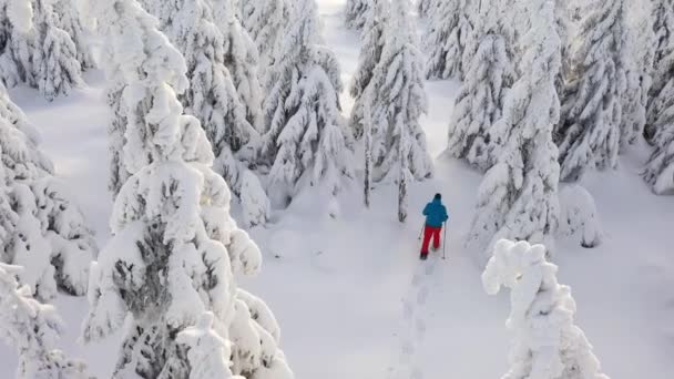 Vista aérea del hombre caminando con raquetas de nieve sobre nieve blanca en invierno . — Vídeos de Stock