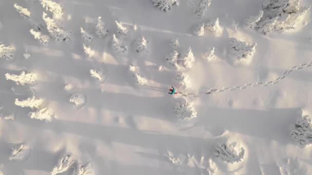 Vue aérienne de l'homme marchant avec des raquettes sur la neige blanche en hiver . — Video
