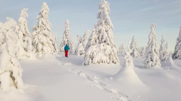 Vista aérea del hombre caminando con raquetas de nieve sobre nieve blanca en invierno . — Vídeos de Stock