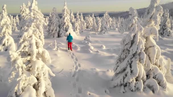 Vista aérea del hombre caminando con raquetas de nieve sobre nieve blanca en invierno . — Vídeos de Stock