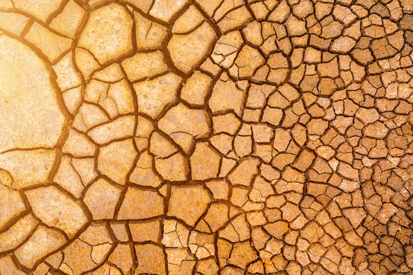 Brun torr sprucken mark textur bakgrund. — Stockfoto