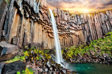 Svartifoss şelalesi. Skaftafell Ulusal Parkı, Vatnajokull Buzulu, İzlanda, Avrupa.